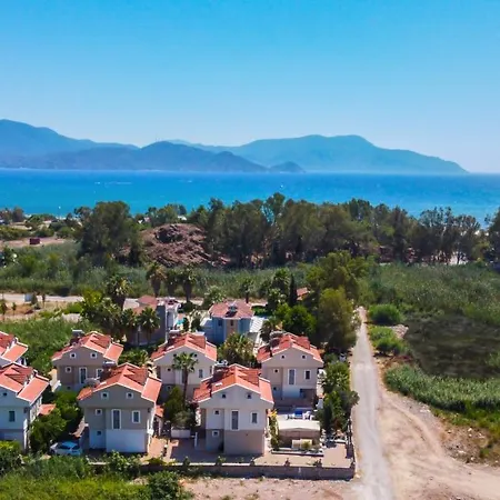 Infinity Sunshine * 페티예