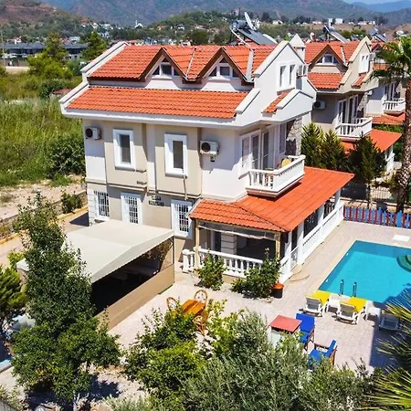 فيلة Infinity Sunshine *