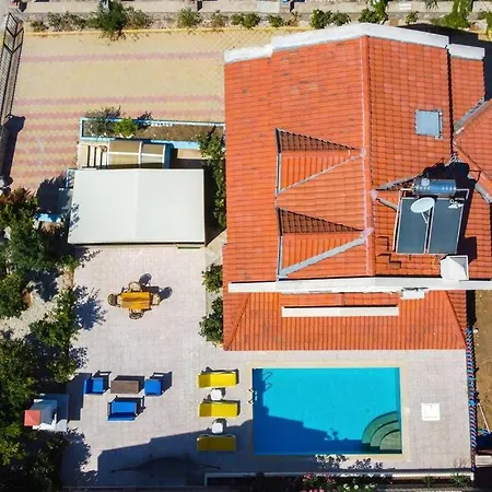 Infinity Sunshine فيلة *