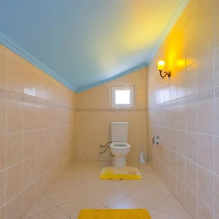 Infinity Sunshine فيلة فتحية