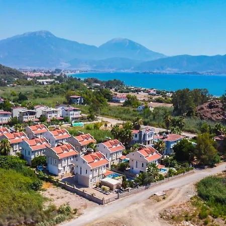 فيلة Infinity Sunshine *